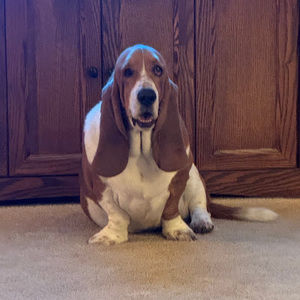 Meet your Posher, Ann